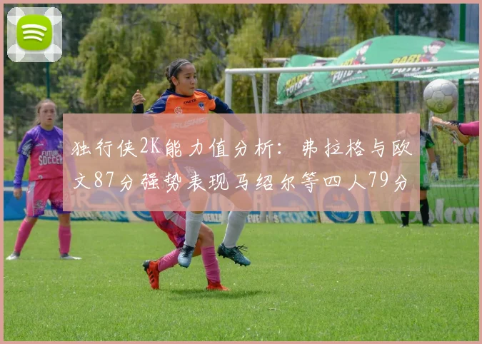 独行侠2K能力值分析：弗拉格与欧文87分强势表现马绍尔等四人79分展现潜力